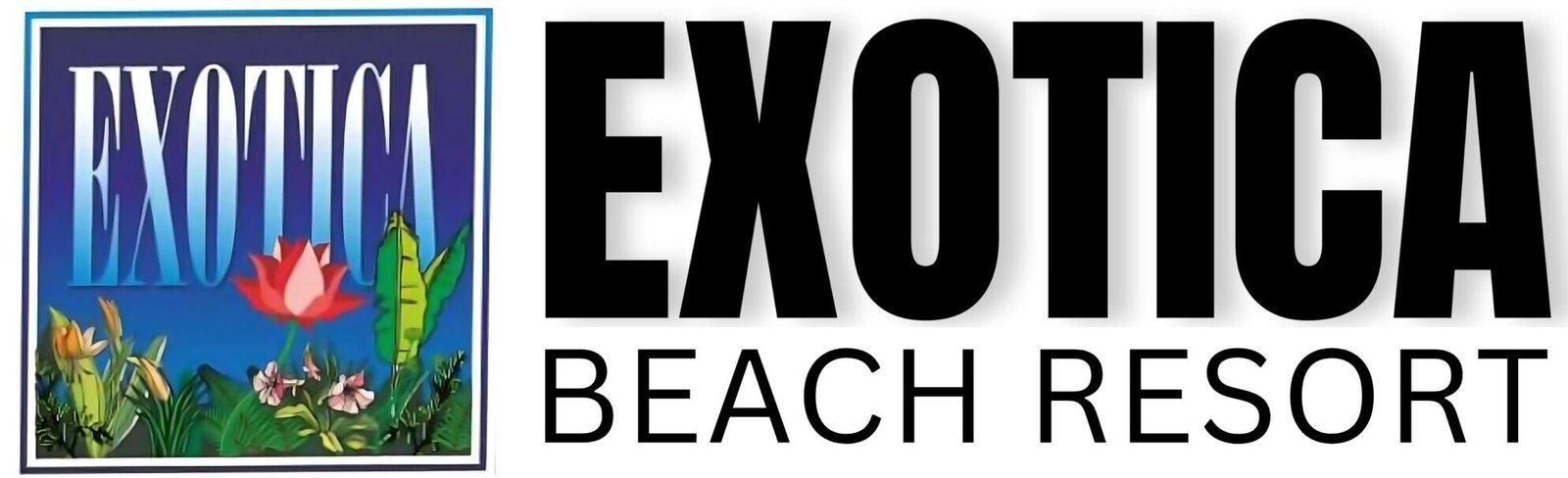 Logo scaled e1765309430195